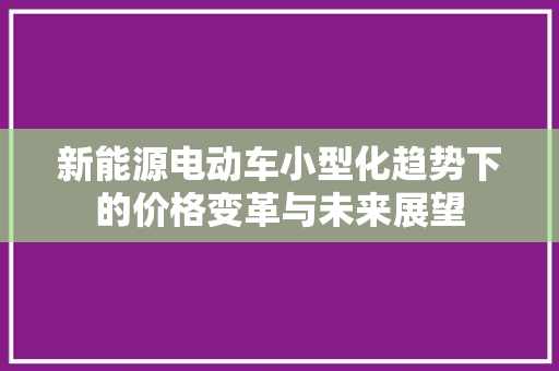 新能源电动车小型化趋势下的价格变革与未来展望