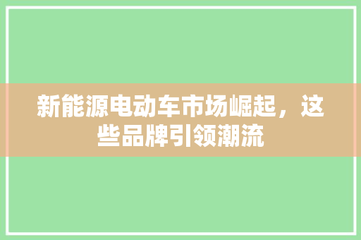 新能源电动车市场崛起，这些品牌引领潮流