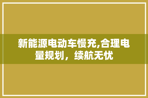新能源电动车慢充,合理电量规划，续航无忧
