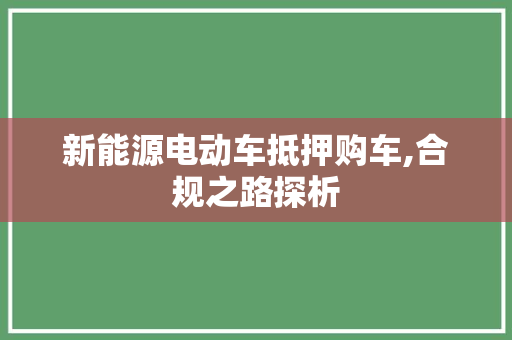 新能源电动车抵押购车,合规之路探析