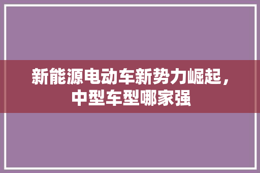 新能源电动车新势力崛起，中型车型哪家强