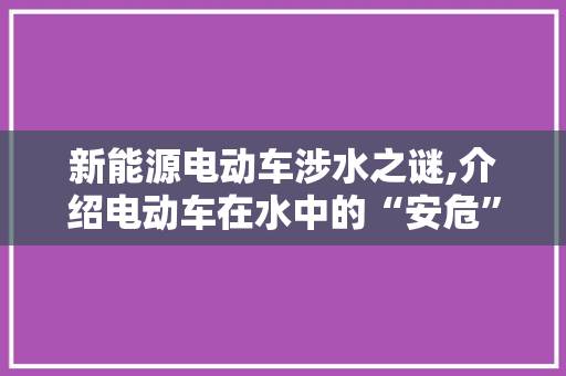 新能源电动车涉水之谜,介绍电动车在水中的“安危”