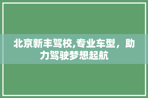 北京新丰驾校,专业车型，助力驾驶梦想起航