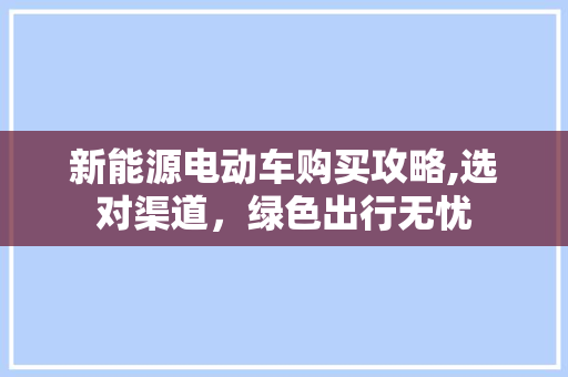 新能源电动车购买攻略,选对渠道，绿色出行无忧