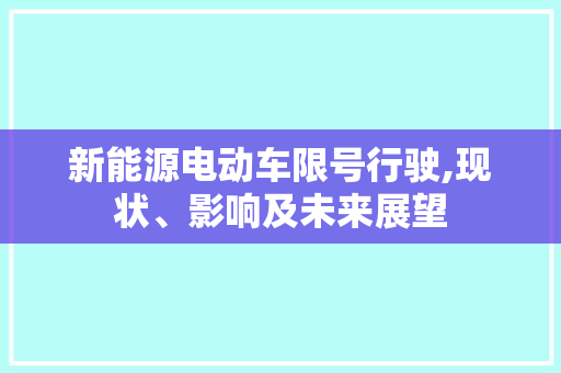 新能源电动车限号行驶,现状、影响及未来展望