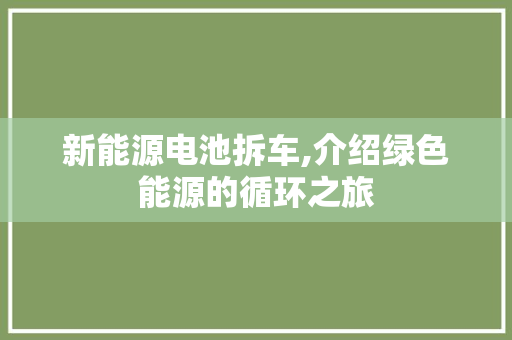 新能源电池拆车,介绍绿色能源的循环之旅