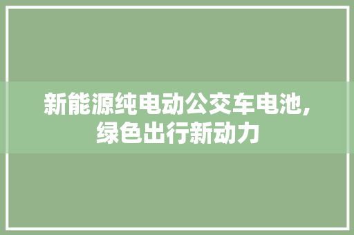 新能源纯电动公交车电池,绿色出行新动力