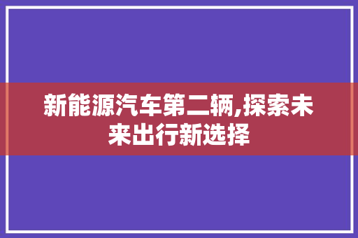 新能源汽车第二辆,探索未来出行新选择