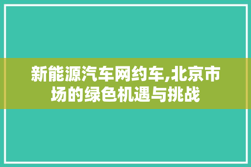 新能源汽车网约车,北京市场的绿色机遇与挑战
