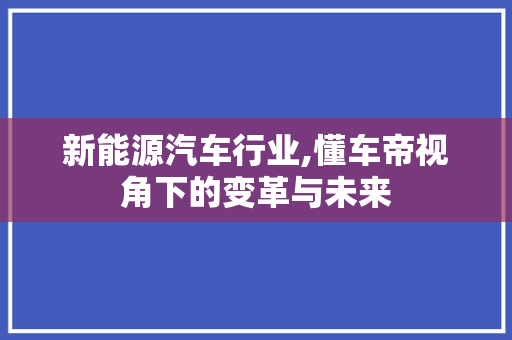 新能源汽车行业,懂车帝视角下的变革与未来