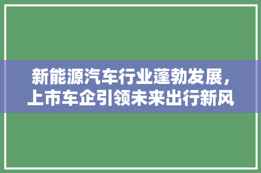 新能源汽车行业蓬勃发展，上市车企引领未来出行新风尚