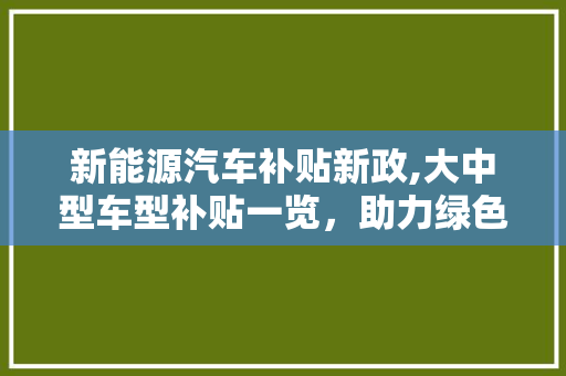 新能源汽车补贴新政,大中型车型补贴一览，助力绿色出行新篇章