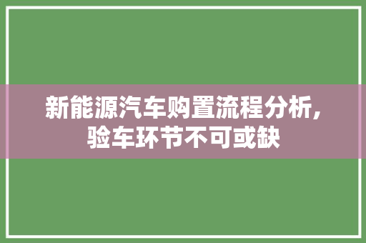 新能源汽车购置流程分析,验车环节不可或缺