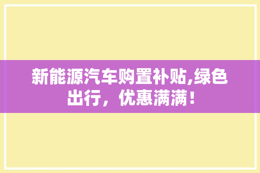 新能源汽车购置补贴,绿色出行，优惠满满！