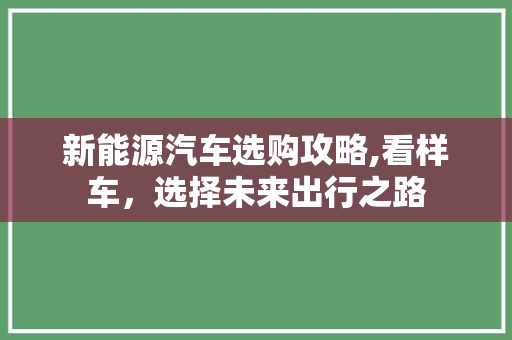 新能源汽车选购攻略,看样车，选择未来出行之路