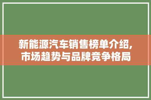 新能源汽车销售榜单介绍,市场趋势与品牌竞争格局