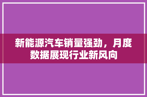 新能源汽车销量强劲，月度数据展现行业新风向