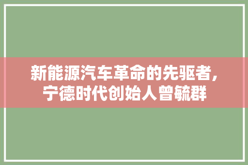 新能源汽车革命的先驱者,宁德时代创始人曾毓群