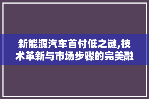 新能源汽车首付低之谜,技术革新与市场步骤的完美融合