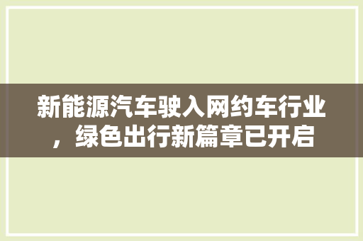 新能源汽车驶入网约车行业，绿色出行新篇章已开启