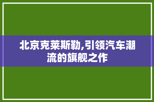 北京克莱斯勒,引领汽车潮流的旗舰之作