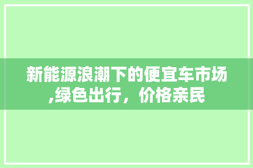 新能源浪潮下的便宜车市场,绿色出行，价格亲民
