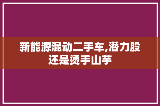 新能源混动二手车,潜力股还是烫手山芋