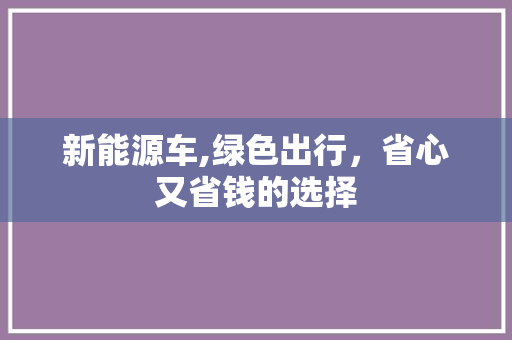 新能源车,绿色出行，省心又省钱的选择