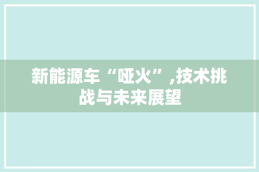 新能源车“哑火”,技术挑战与未来展望