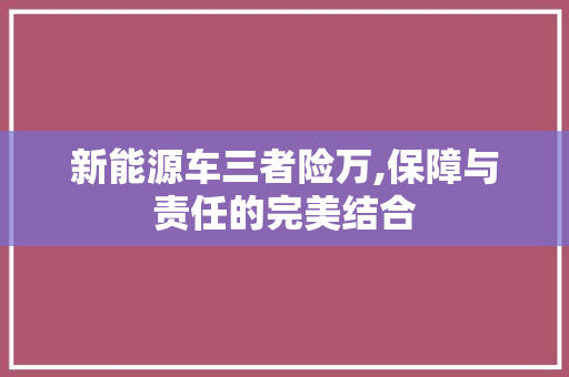 新能源车三者险万,保障与责任的完美结合