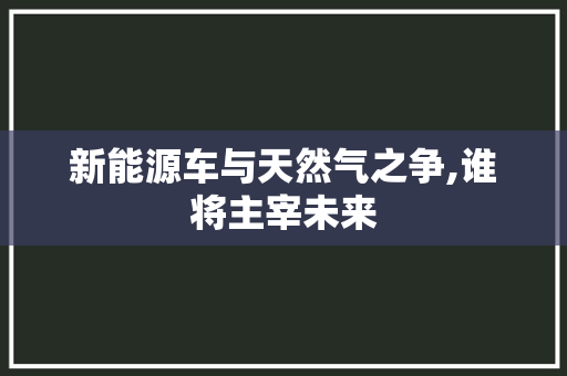新能源车与天然气之争,谁将主宰未来