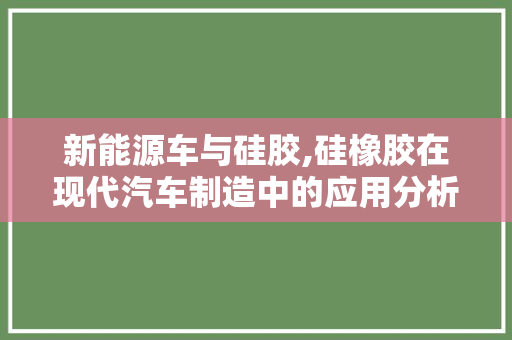新能源车与硅胶,硅橡胶在现代汽车制造中的应用分析
