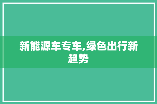 新能源车专车,绿色出行新趋势