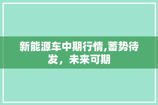 新能源车中期行情,蓄势待发，未来可期