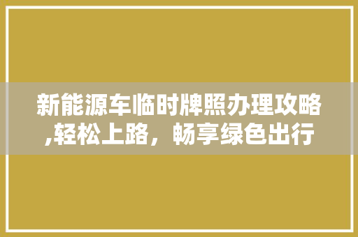 新能源车临时牌照办理攻略,轻松上路，畅享绿色出行