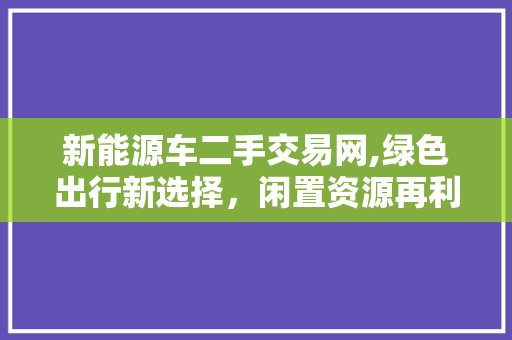 新能源车二手交易网,绿色出行新选择，闲置资源再利用