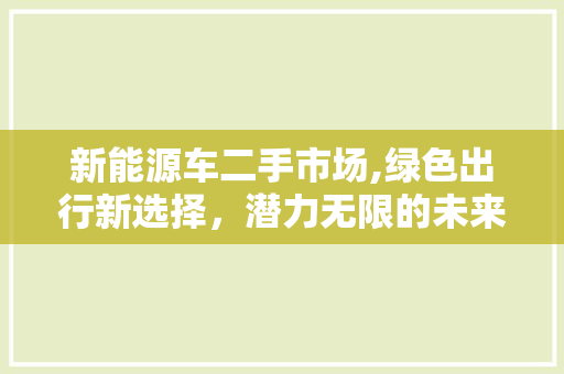 新能源车二手市场,绿色出行新选择，潜力无限的未来
