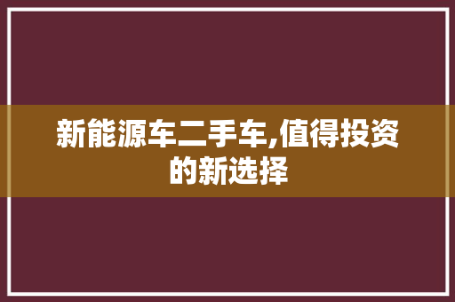 新能源车二手车,值得投资的新选择
