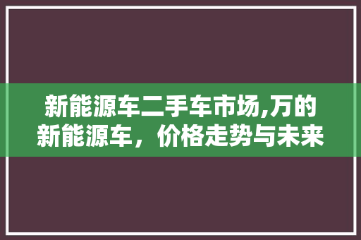 新能源车二手车市场,万的新能源车，价格走势与未来展望