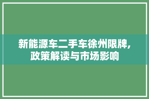 新能源车二手车徐州限牌,政策解读与市场影响