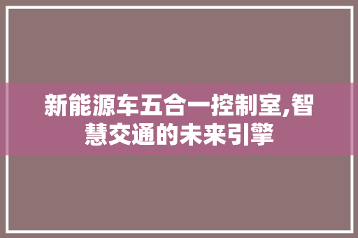 新能源车五合一控制室,智慧交通的未来引擎