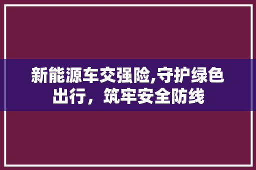 新能源车交强险,守护绿色出行，筑牢安全防线