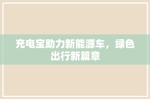 充电宝助力新能源车，绿色出行新篇章