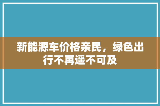 新能源车价格亲民，绿色出行不再遥不可及