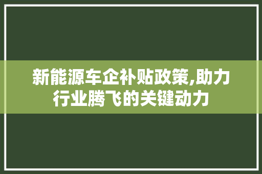 新能源车企补贴政策,助力行业腾飞的关键动力