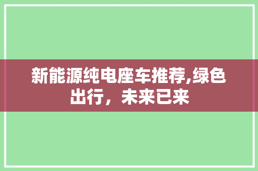 新能源纯电座车推荐,绿色出行，未来已来
