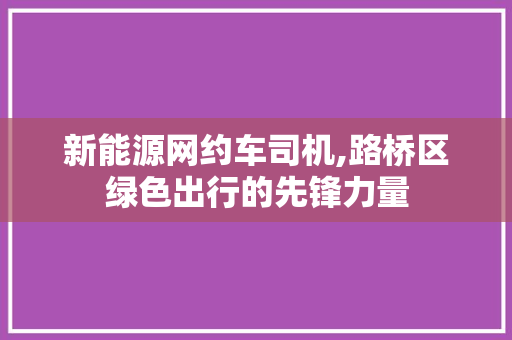 新能源网约车司机,路桥区绿色出行的先锋力量