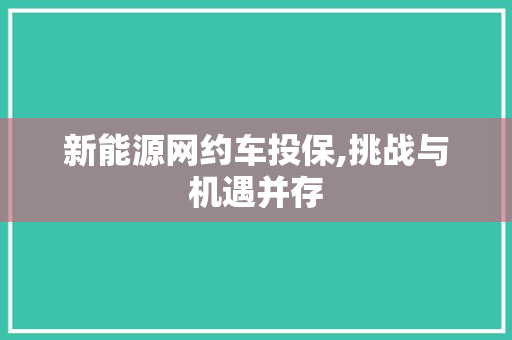 新能源网约车投保,挑战与机遇并存