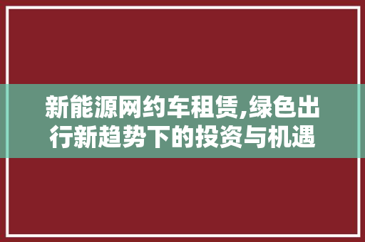 新能源网约车租赁,绿色出行新趋势下的投资与机遇