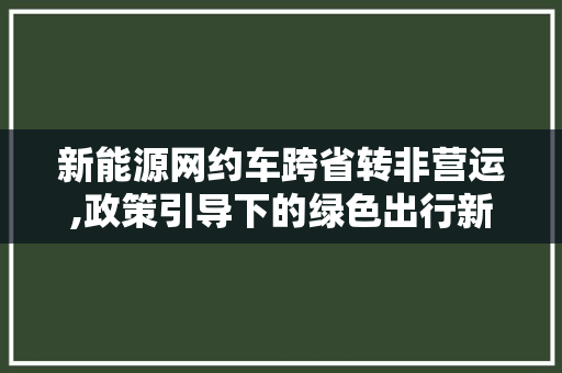 新能源网约车跨省转非营运,政策引导下的绿色出行新篇章